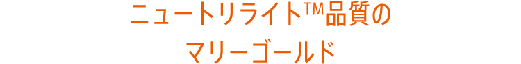 ニュートリライトTM品質のマリーゴールド