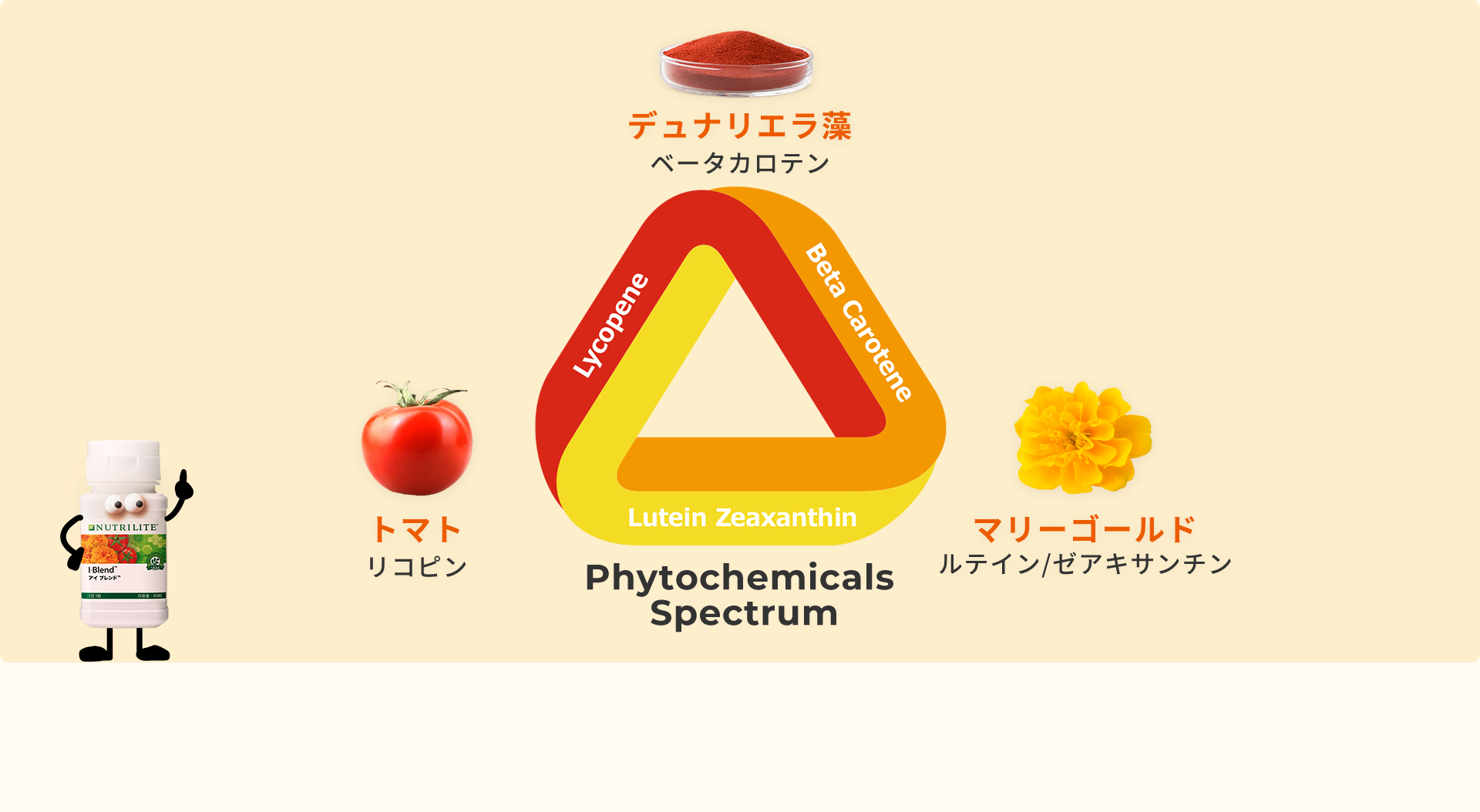 Phytochemicals Spectrum デュナリエラ藻 ベータカロテン トマト リコピン マリーゴールド ルテイン/ゼアキサンチン