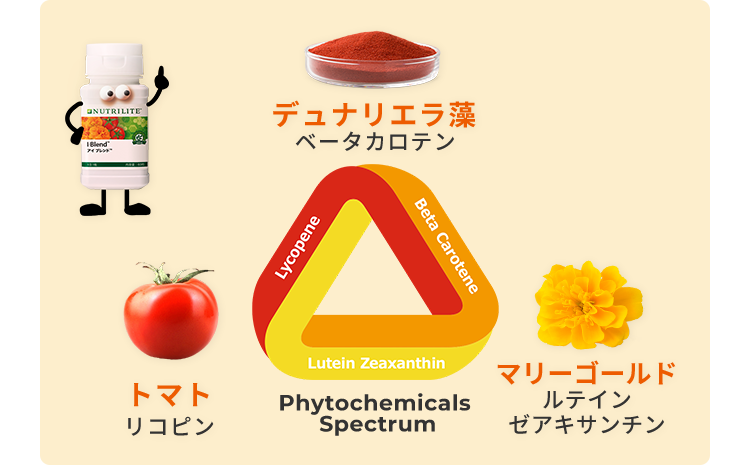 Phytochemicals Spectrum デュナリエラ藻 ベータカロテン トマト リコピン マリーゴールド ルテイン/ゼアキサンチン