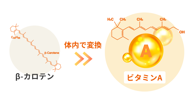 β-カロテン 体内で変換 ビタミンA