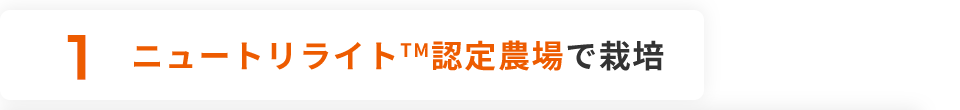 1 ニュートリライトTM認定農場で栽培