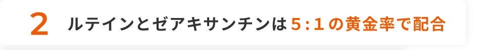 2 ルテインとゼアキサンチンは５:１の黄金率で配合