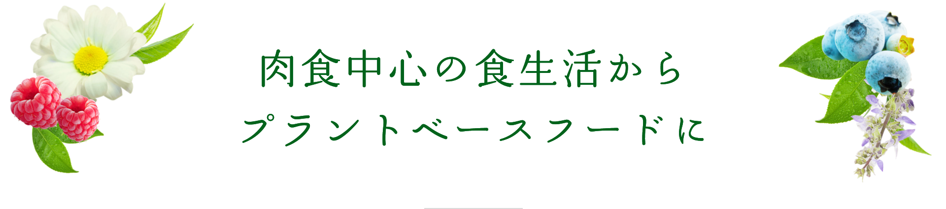 肉食中心の食生活からプラントベースフードに