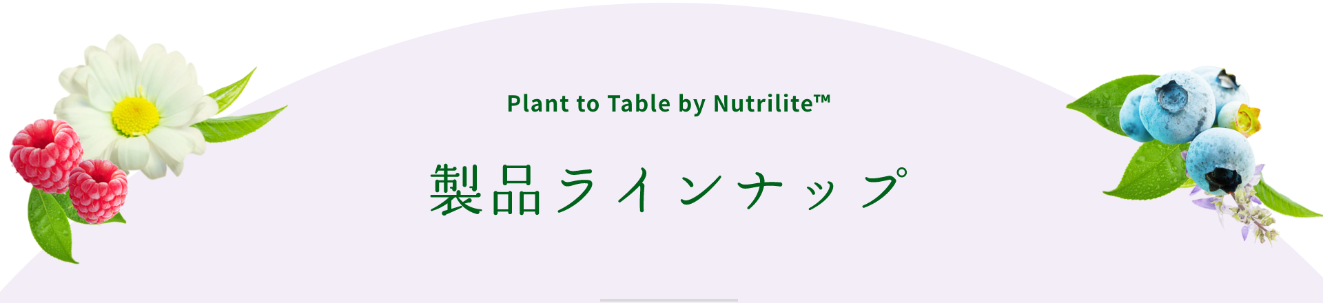 Plant to Table by Nutrilite™ 製品ラインナップ