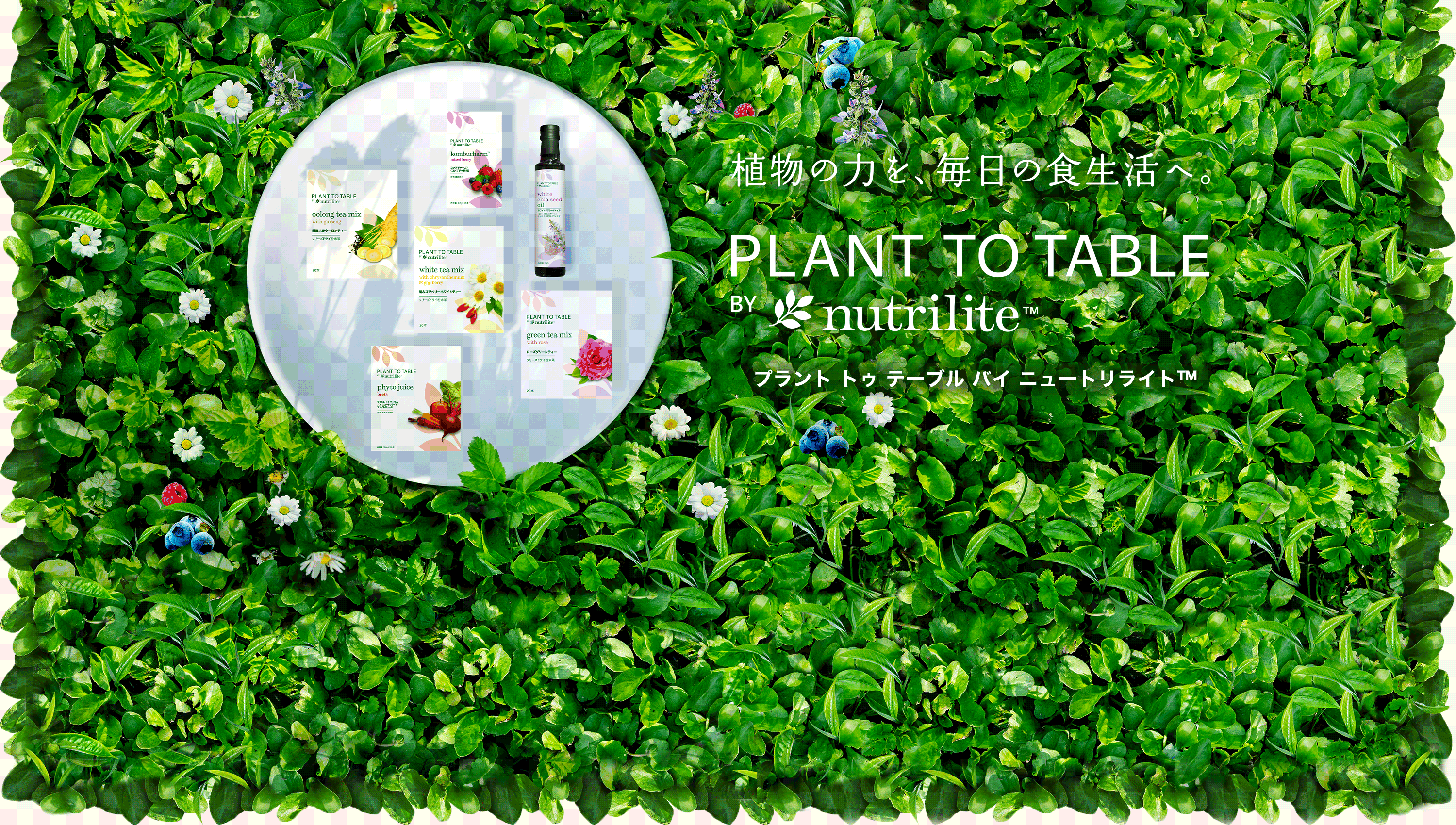 植物の力を、毎日の食生活へ。 PLANT TO TABLE BY nutrilit™ プラント トゥ テーブル バイ ニュートリライト™