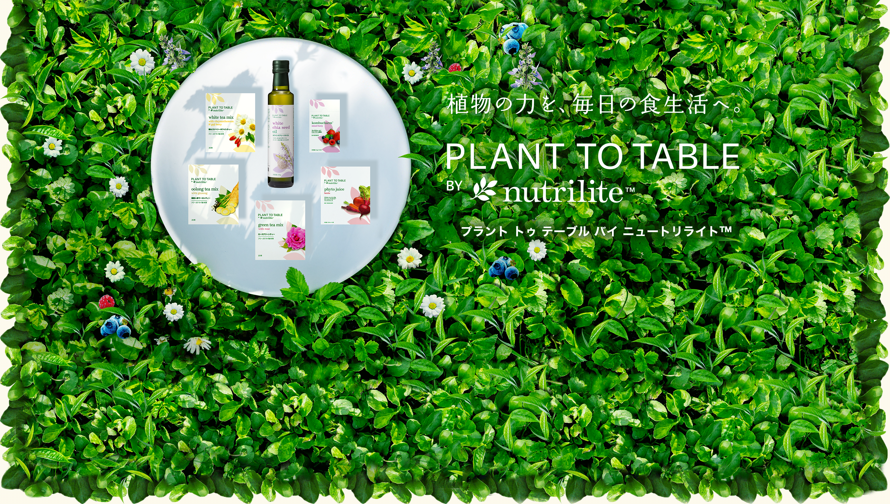 植物の力を、毎日の食生活へ。 PLANT TO TABLE BY nutrilit™ プラント トゥ テーブル バイ ニュートリライト™