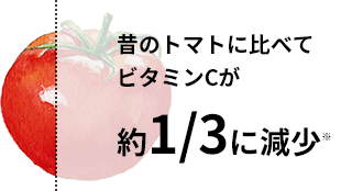 昔のトマトに比べてビタミンCが約1/3に減少※