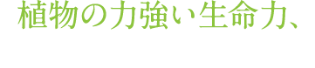 ファイトケミカルスリーダー